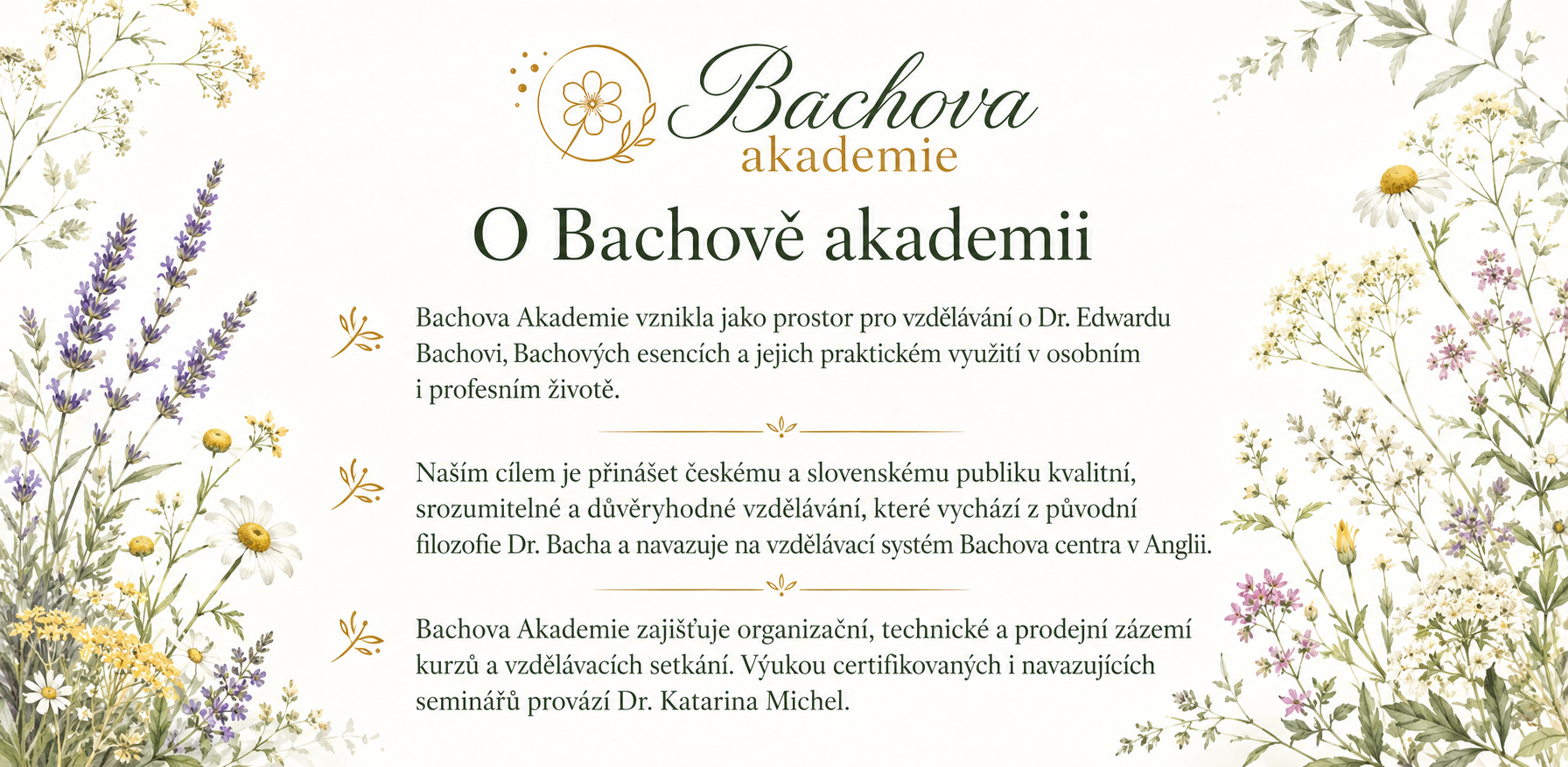 Bachova Akademie_O-nas
